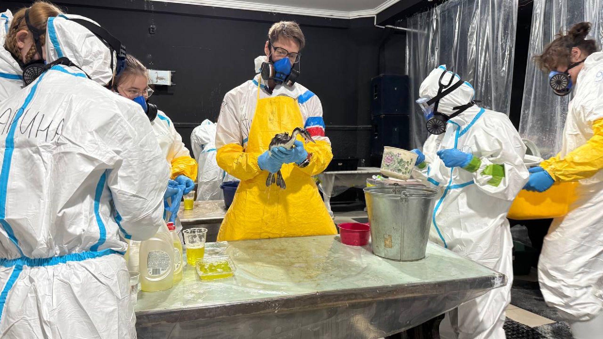 вертикалки, волонтеры подмосковья помогают в анапе, Волонтеры из Бронниц в Анапе,