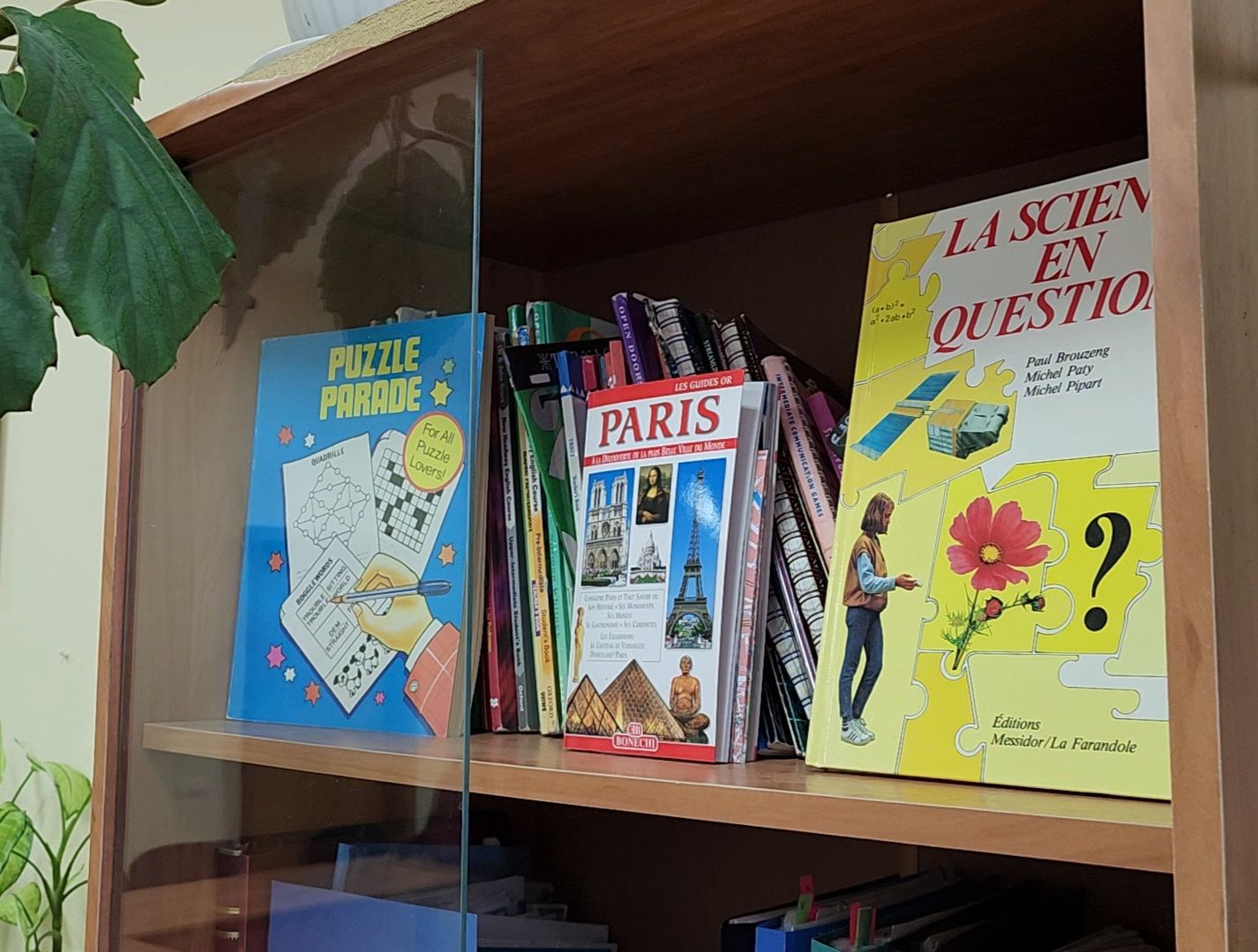 Дубна, Английский язык, Французский язык, Преподаватель, Наука, Университет Дубна, вертикалки,