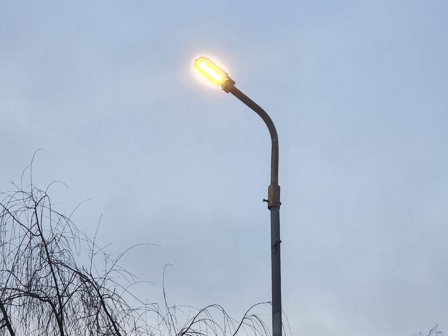 вертикалки, пушкино, освещение, озеро,