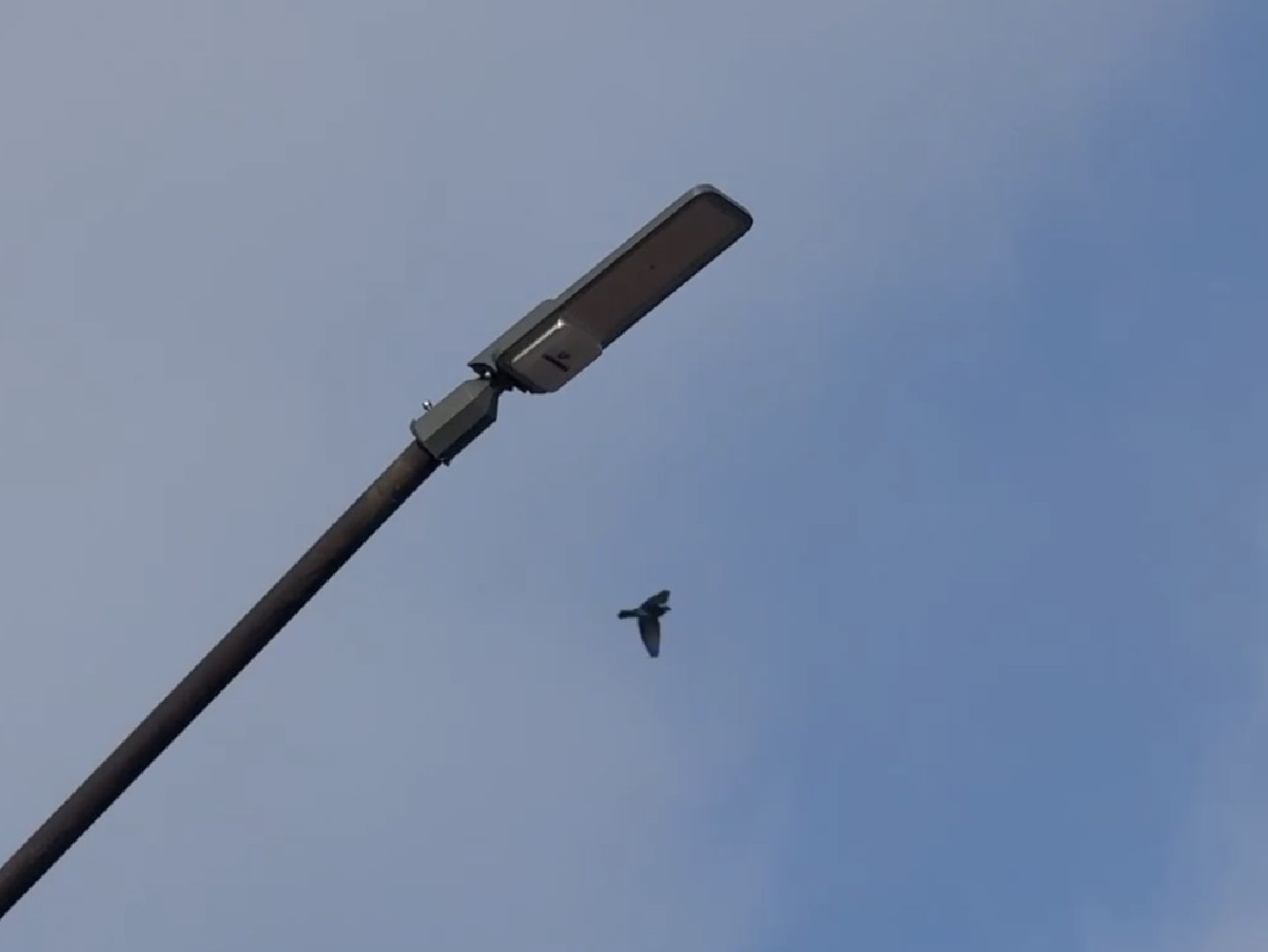 раменское, спортивный проезд 6, благоустройство, уличное освещение,