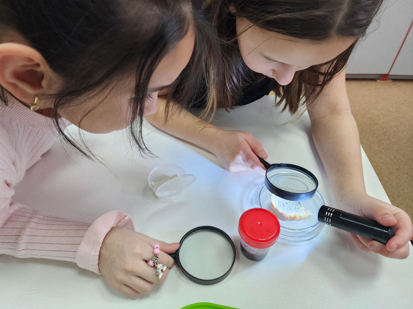 дети, 80-летие победы, созвездие, шатура, мастер-класс, ученые, биология,