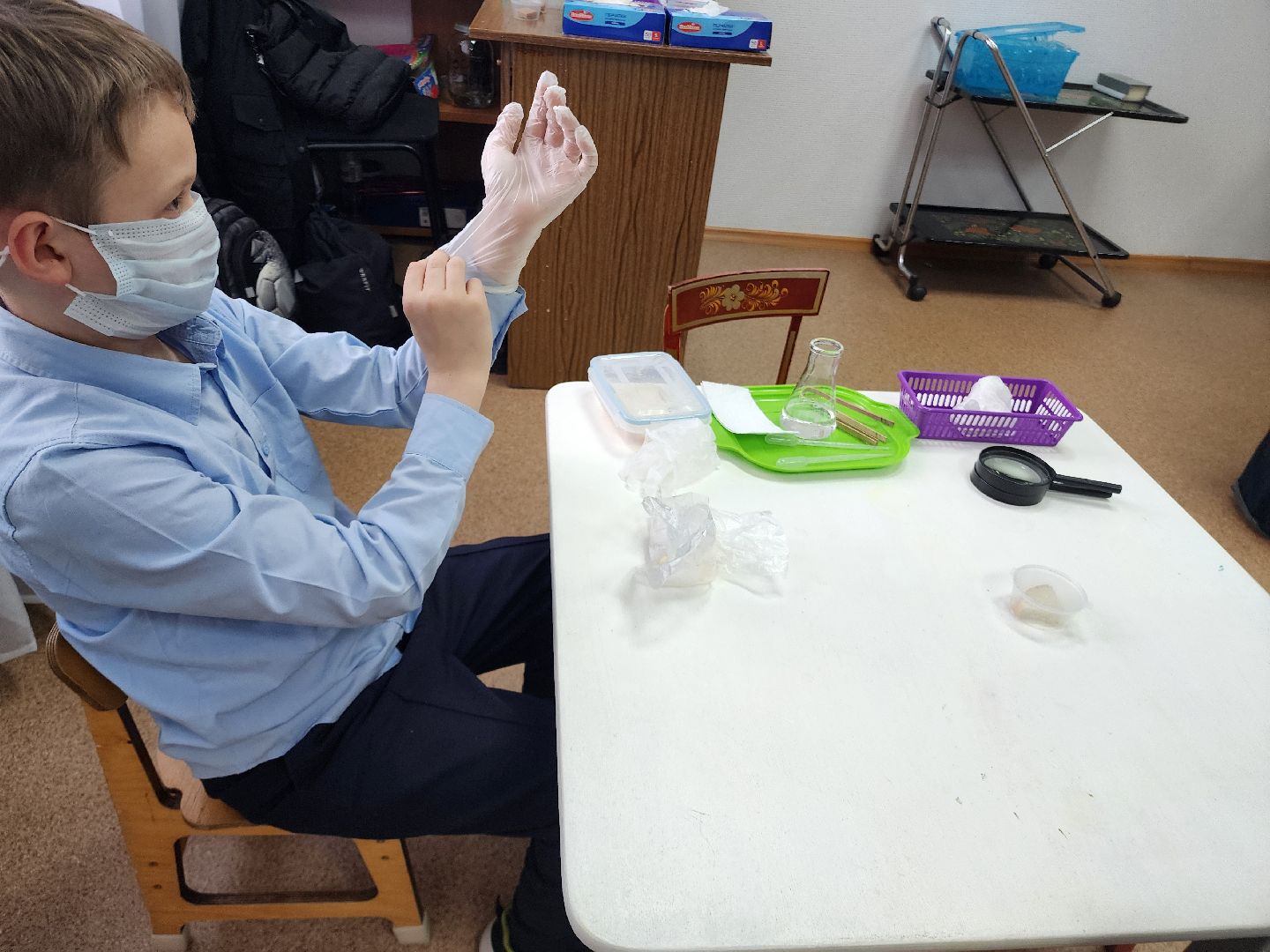 дети, 80-летие победы, созвездие, шатура, мастер-класс, ученые, биология,