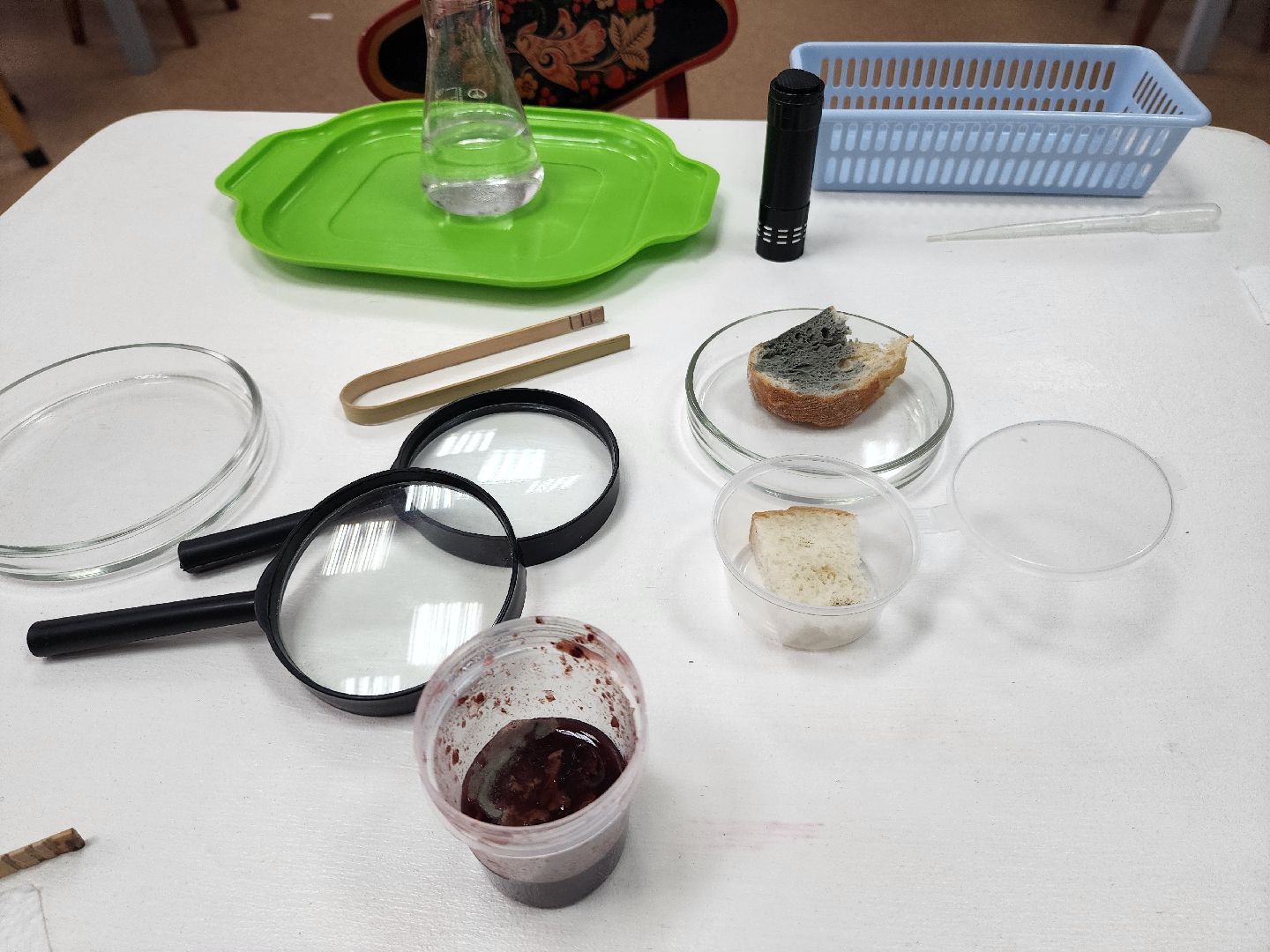 дети, 80-летие победы, созвездие, шатура, мастер-класс, ученые, биология,