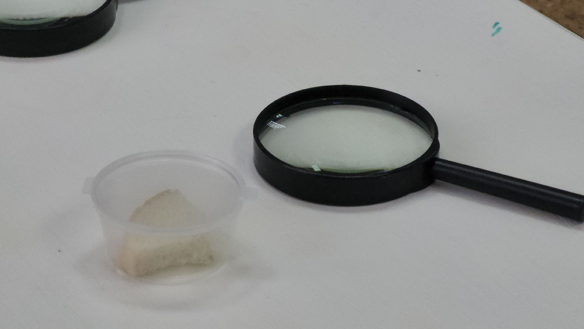 дети, 80-летие победы, созвездие, шатура, мастер-класс, ученые, биология,