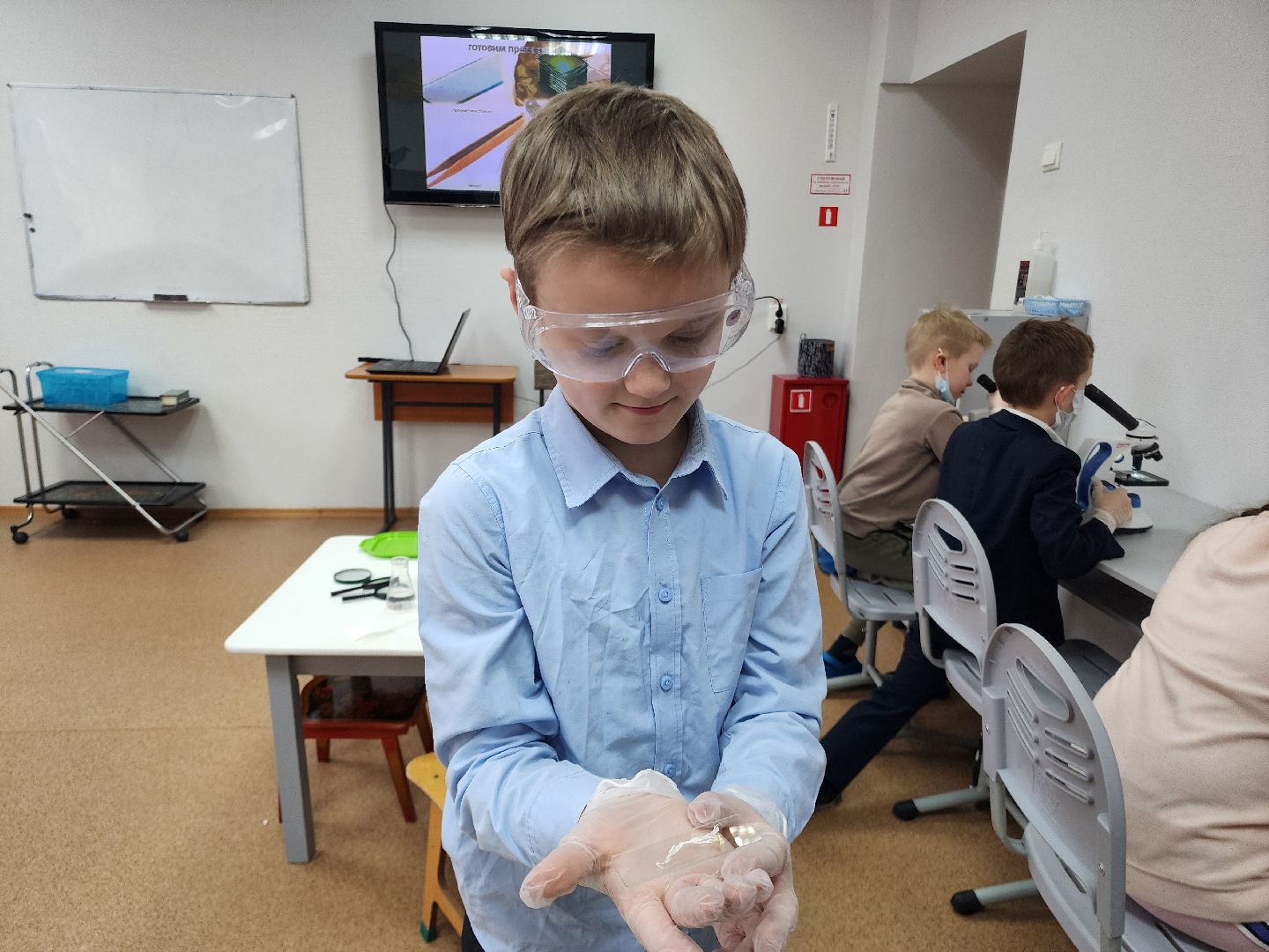 дети, 80-летие победы, созвездие, шатура, мастер-класс, ученые, биология,