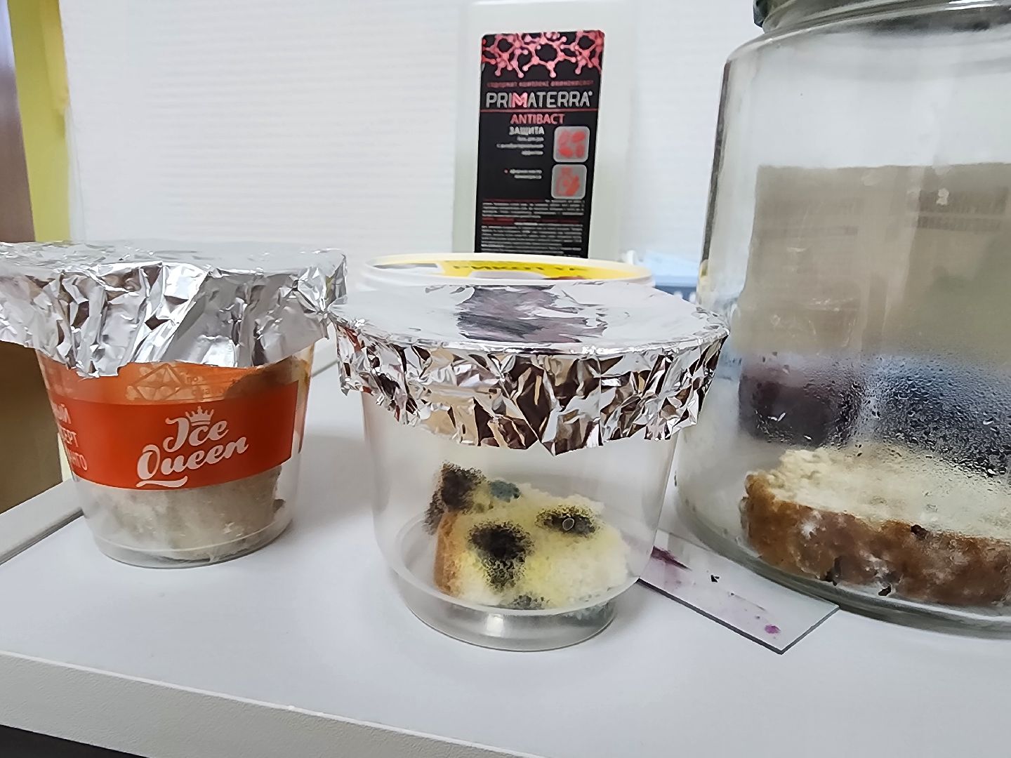 дети, 80-летие победы, созвездие, шатура, мастер-класс, ученые, биология,