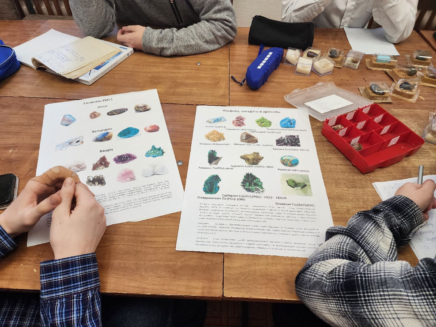 дети, геология, мгу,геошкола, олимпиада,