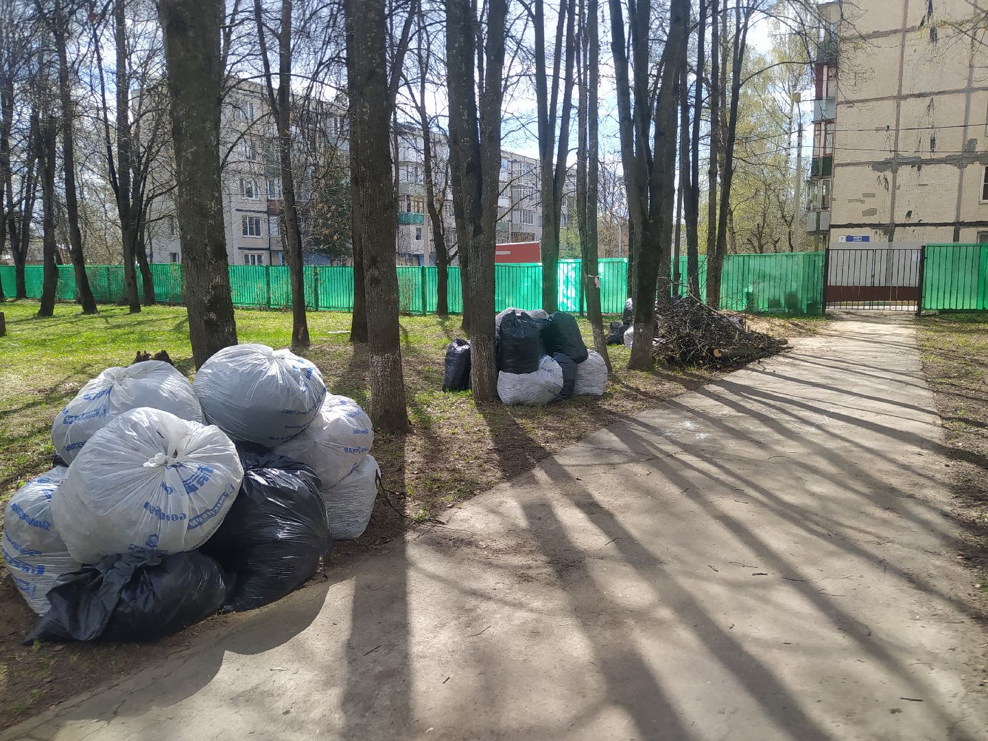 Дедовск, субботник, детский сад, уборка