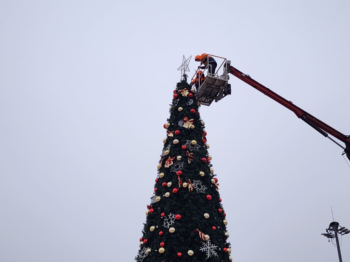 ёлка, благоустройство, демонтаж, вертикалки,