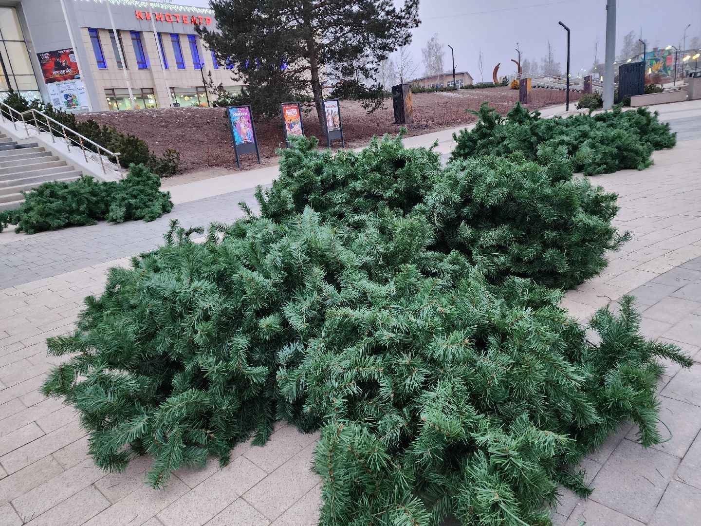 ёлка, благоустройство, демонтаж, вертикалки,