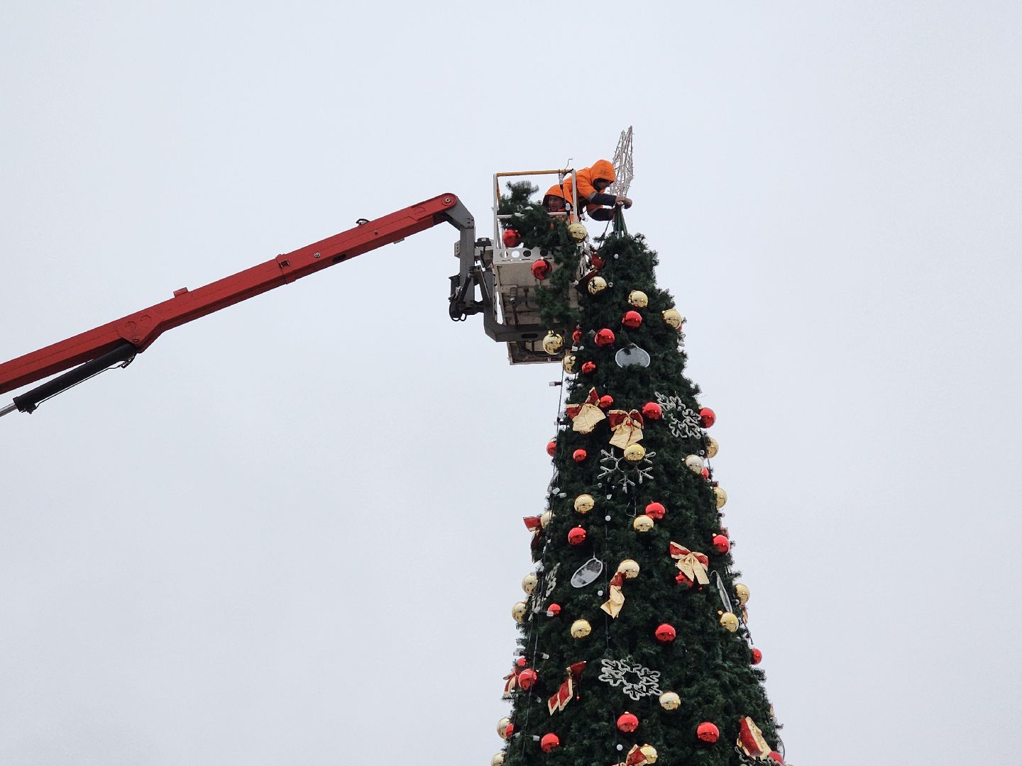 ёлка, благоустройство, демонтаж, вертикалки,