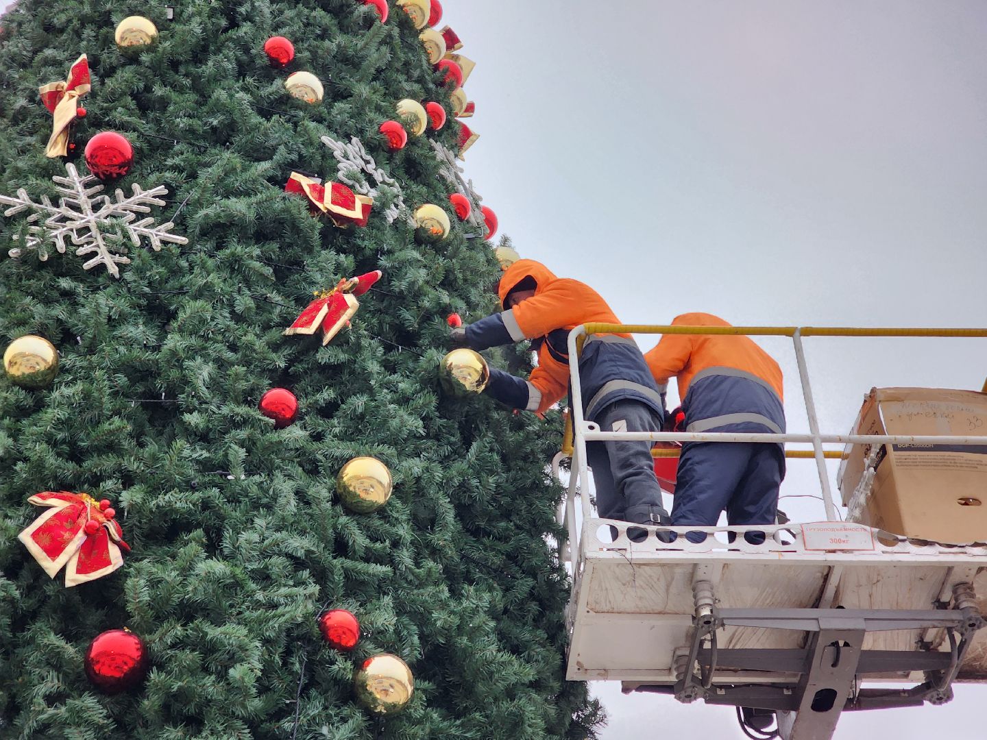 ёлка, благоустройство, демонтаж, вертикалки,