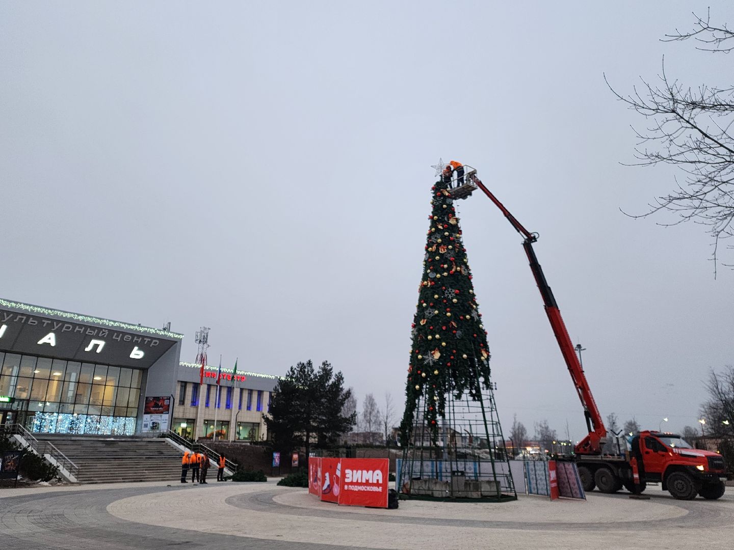 ёлка, благоустройство, демонтаж, вертикалки,