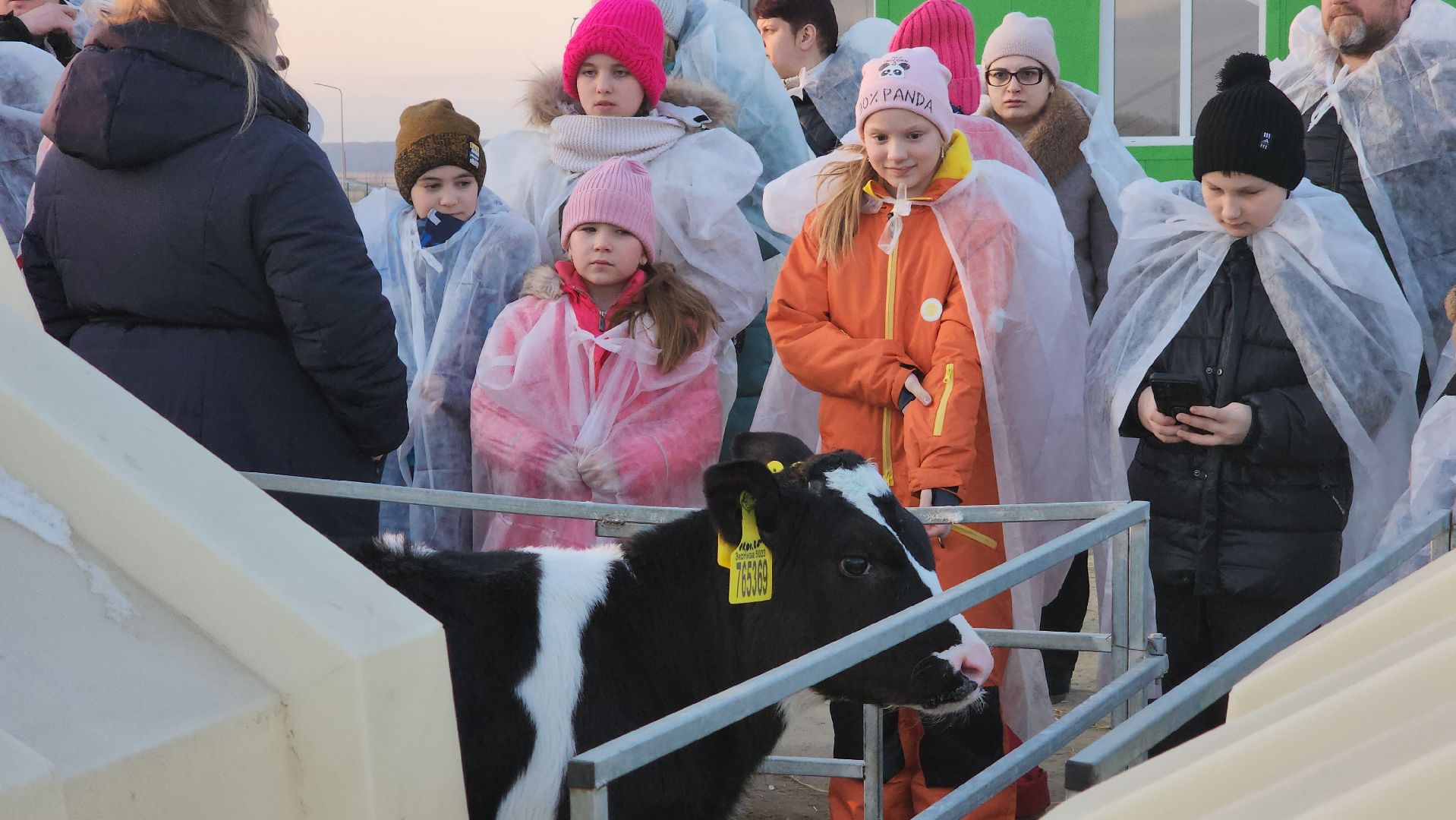 ступино, образование, промышленный туризм,