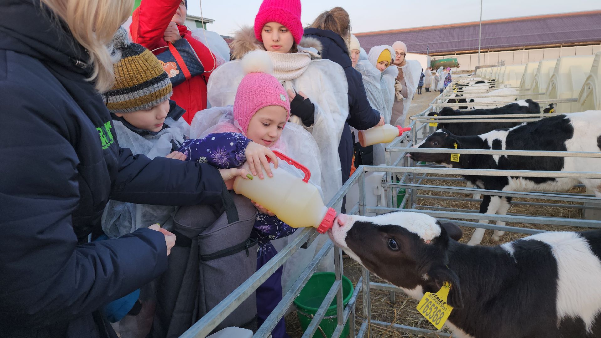 ступино, образование, промышленный туризм,