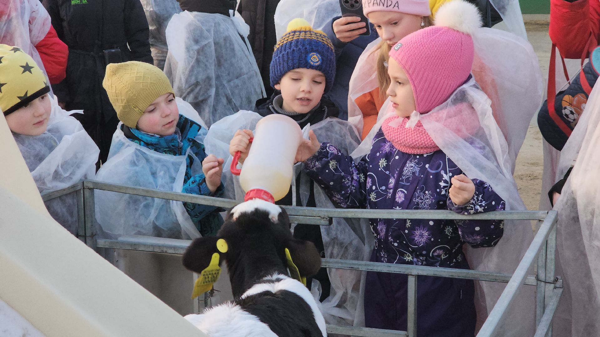 ступино, образование, промышленный туризм,