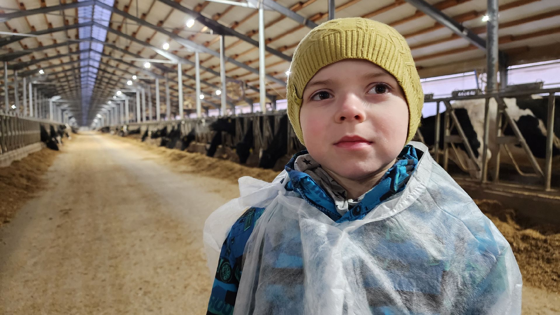 ступино, образование, промышленный туризм,