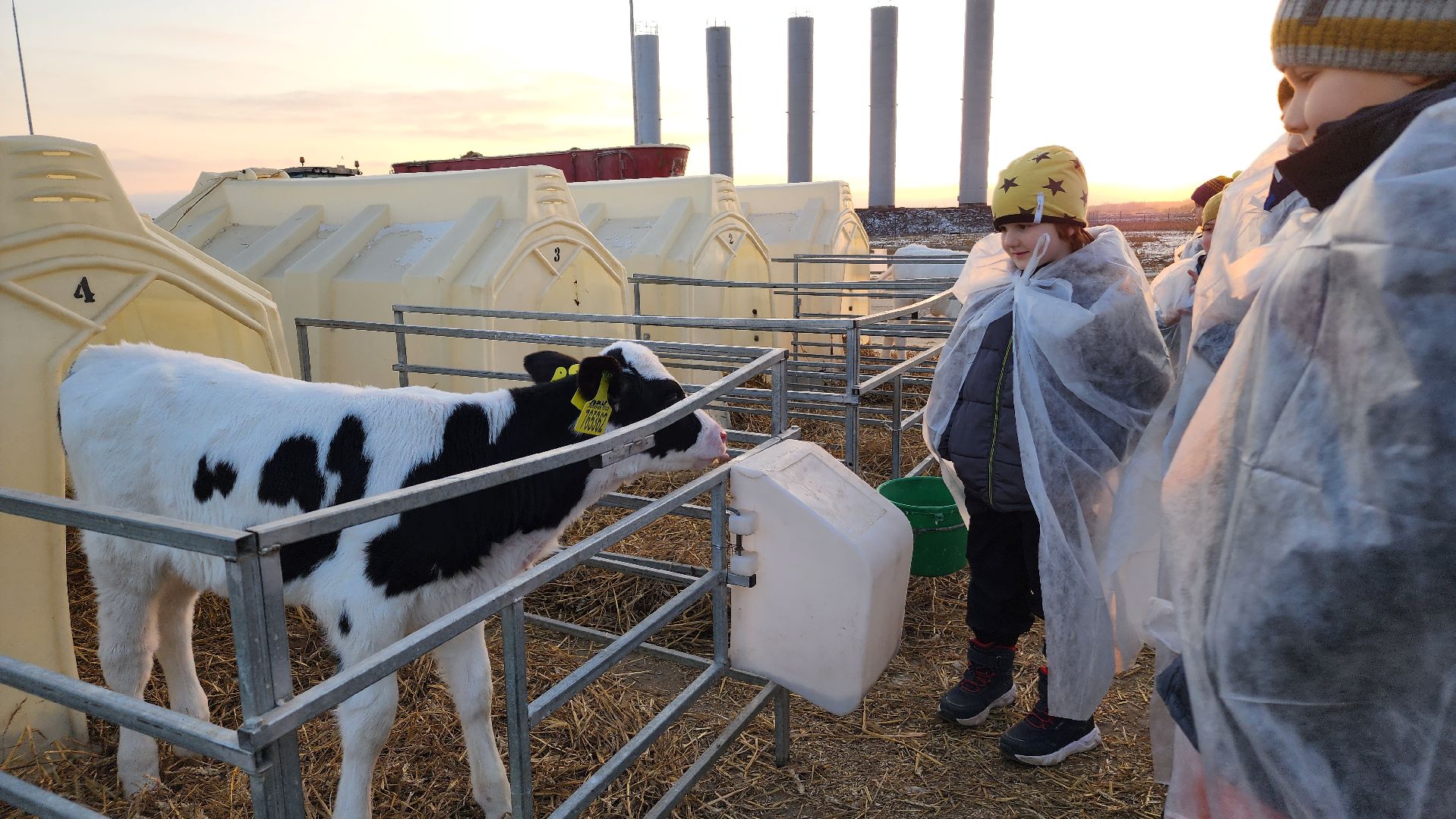 ступино, образование, промышленный туризм,