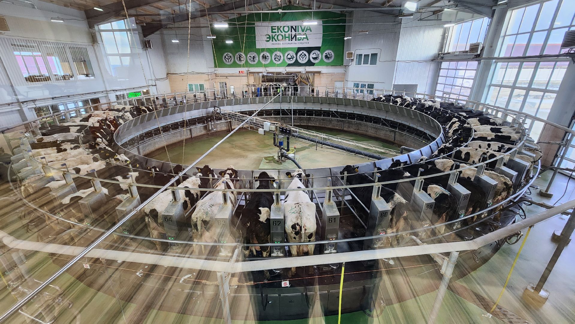 ступино, образование, промышленный туризм,