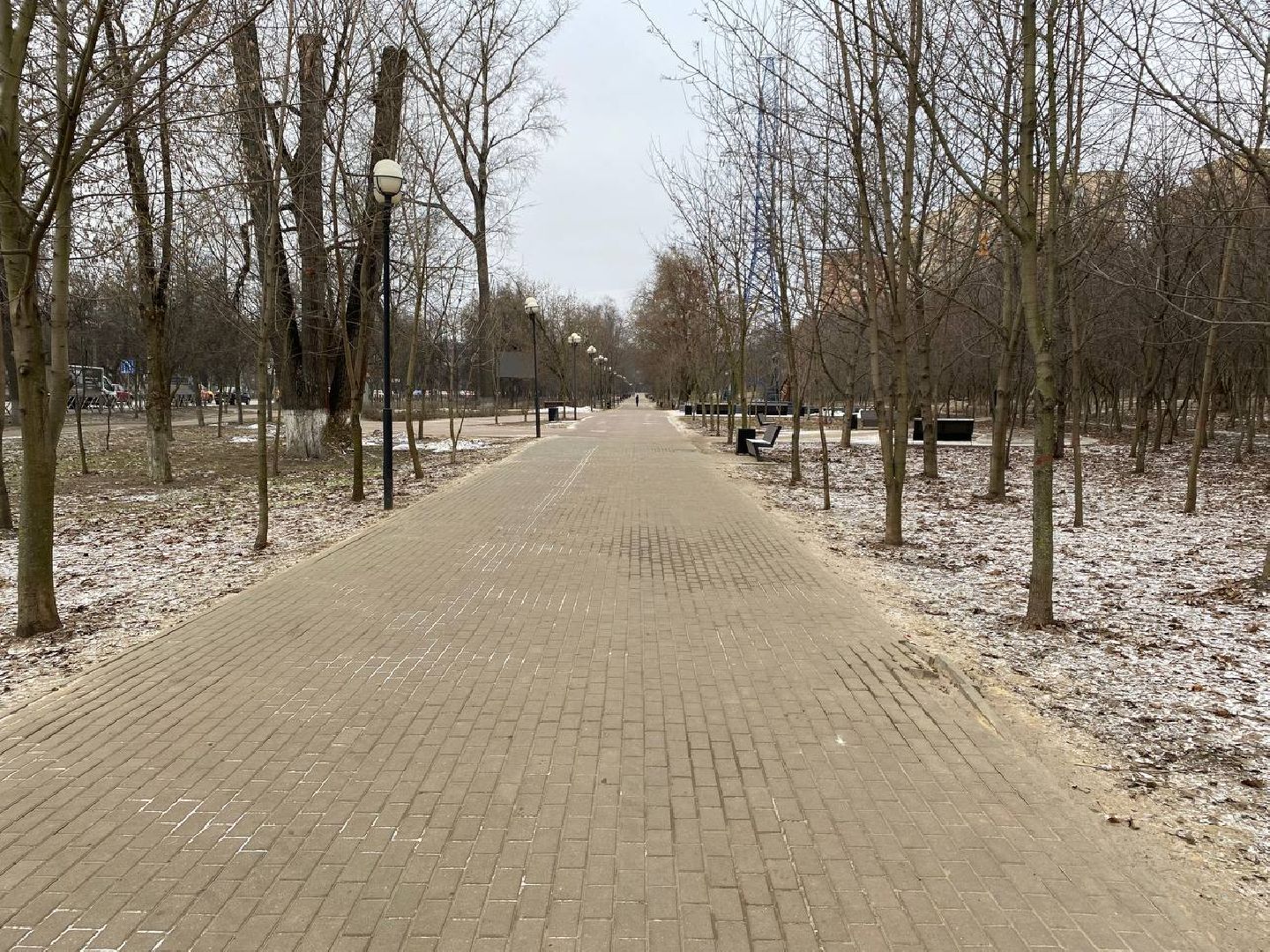 вертикалки, яблоневыйсквер, благоустройство, сквервкрасногорске, парквкрасногорске,