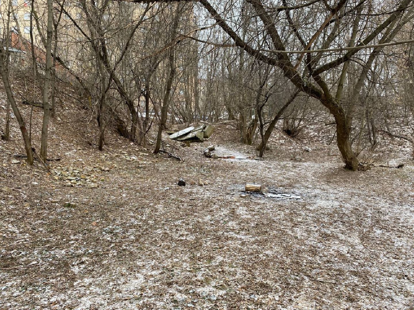 вертикалки, яблоневыйсквер, благоустройство, сквервкрасногорске, парквкрасногорске,
