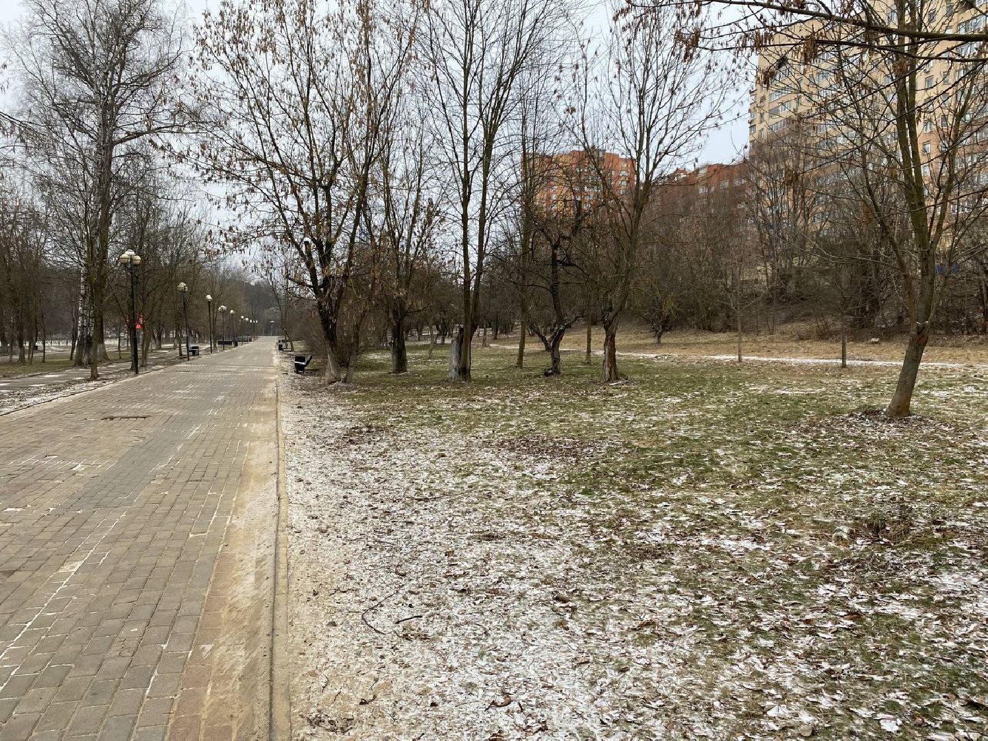 вертикалки, яблоневыйсквер, благоустройство, сквервкрасногорске, парквкрасногорске,