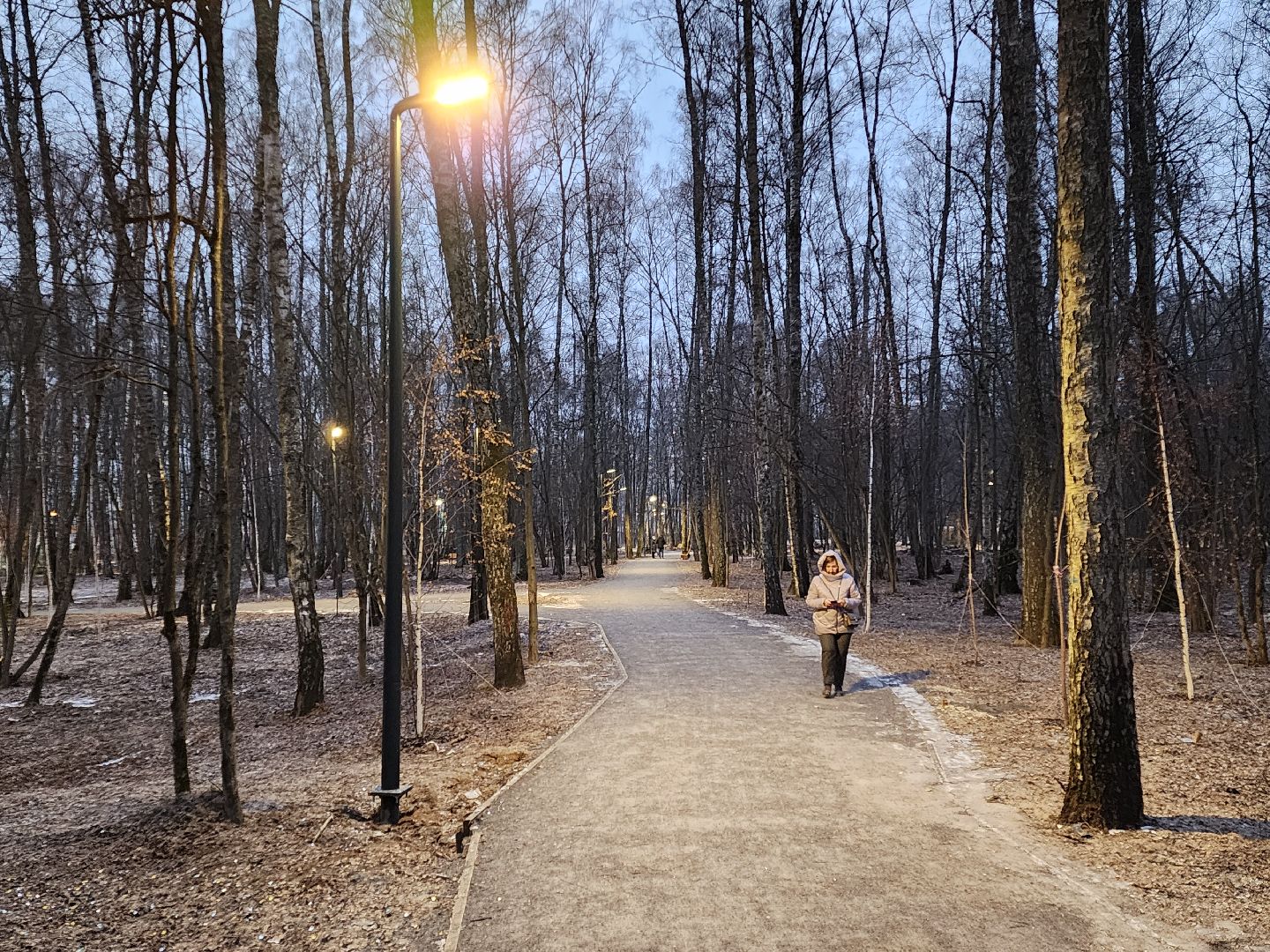 Чехов, микрорайон Губернский, лесопарк, строительство, благоустройство, наружное освещение, уличное освещение, фонари,