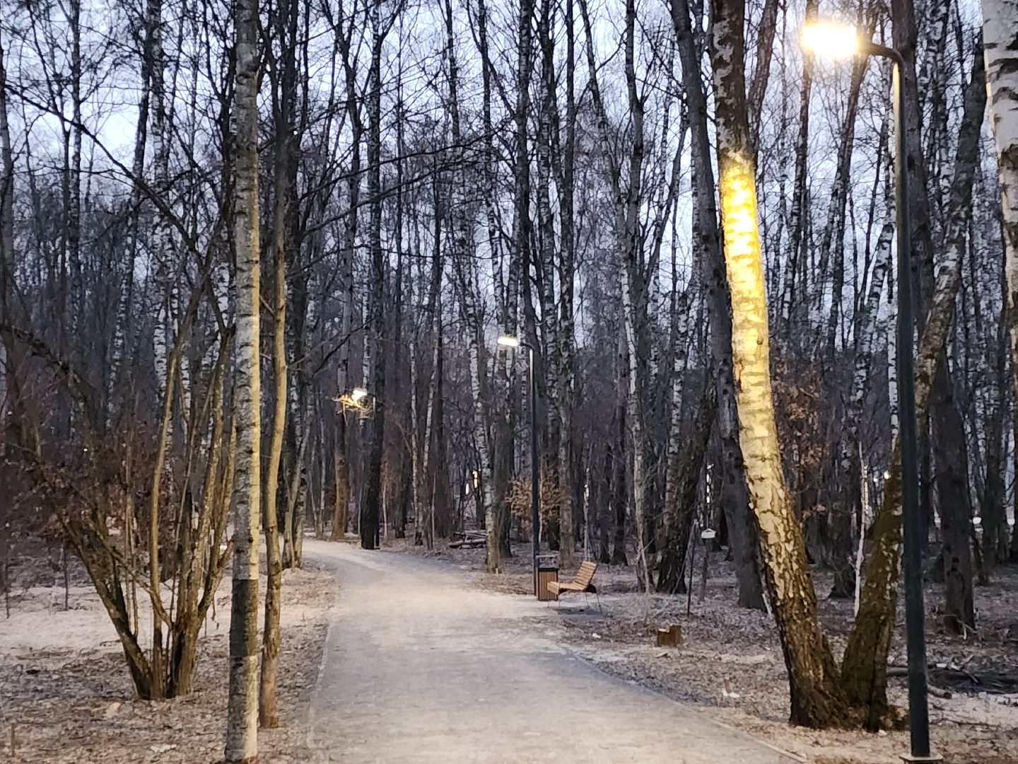 Чехов, микрорайон Губернский, лесопарк, строительство, благоустройство, наружное освещение, уличное освещение, фонари,