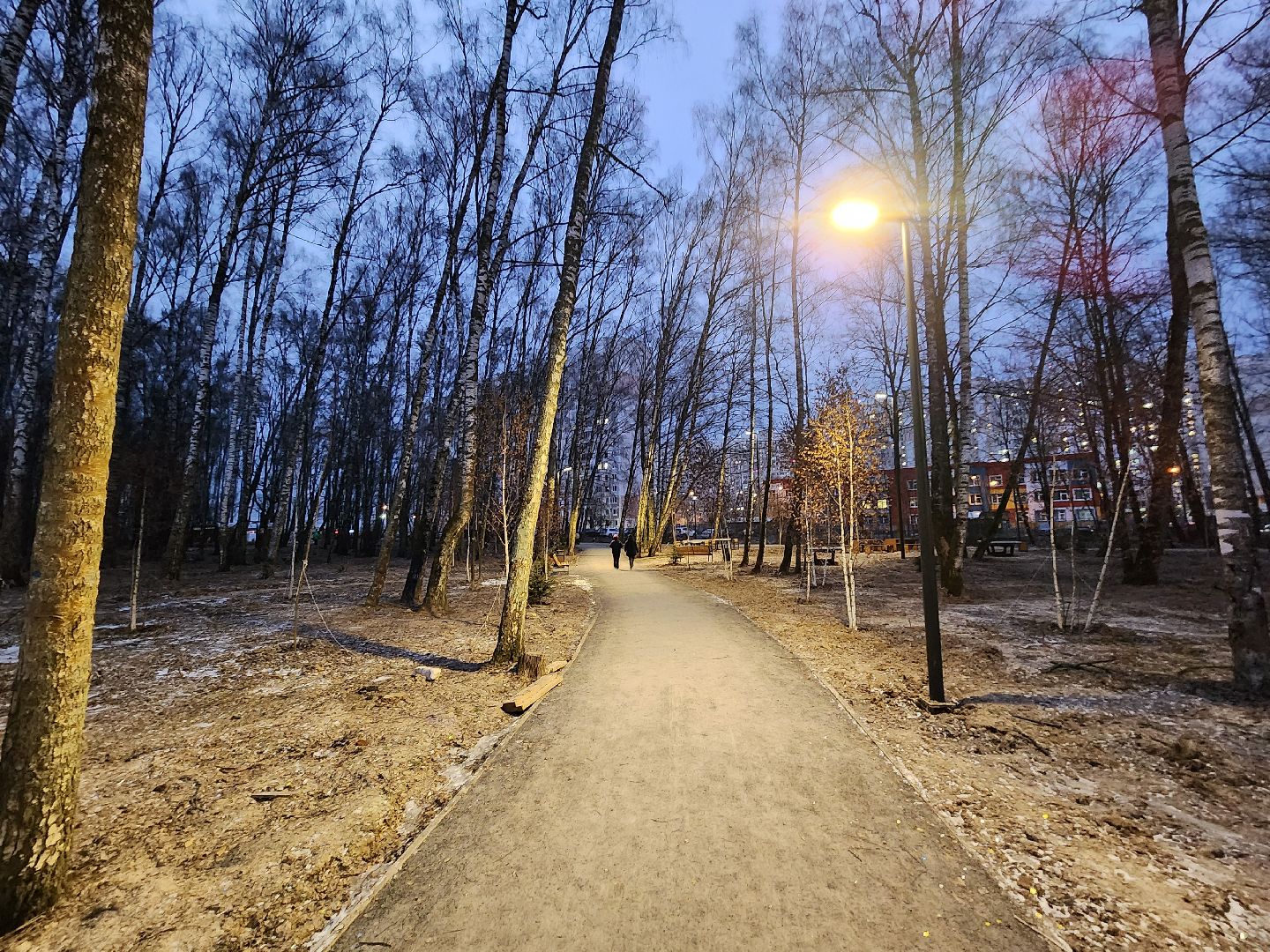 Чехов, микрорайон Губернский, лесопарк, строительство, благоустройство, наружное освещение, уличное освещение, фонари,