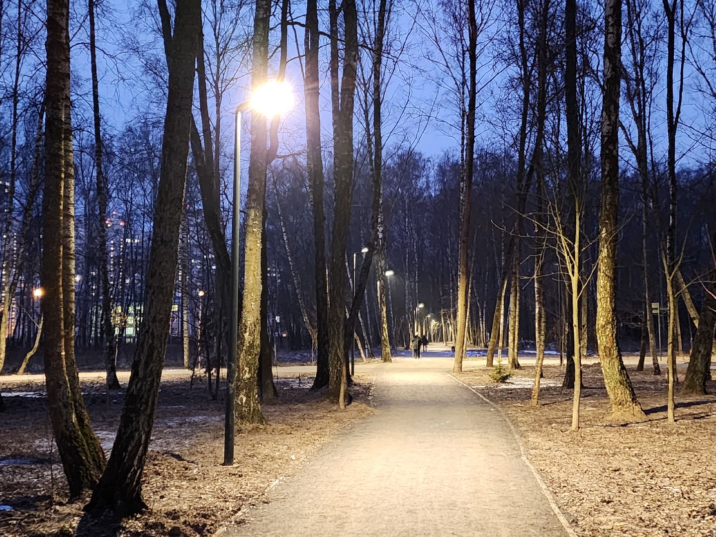 Чехов, микрорайон Губернский, лесопарк, строительство, благоустройство, наружное освещение, уличное освещение, фонари,