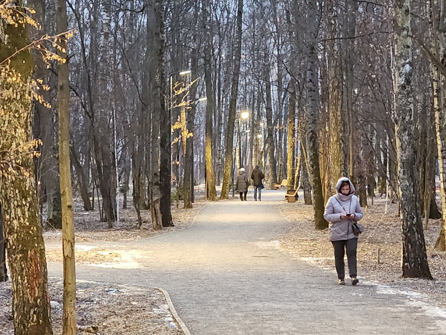 Чехов, микрорайон Губернский, лесопарк, строительство, благоустройство, наружное освещение, уличное освещение, фонари,