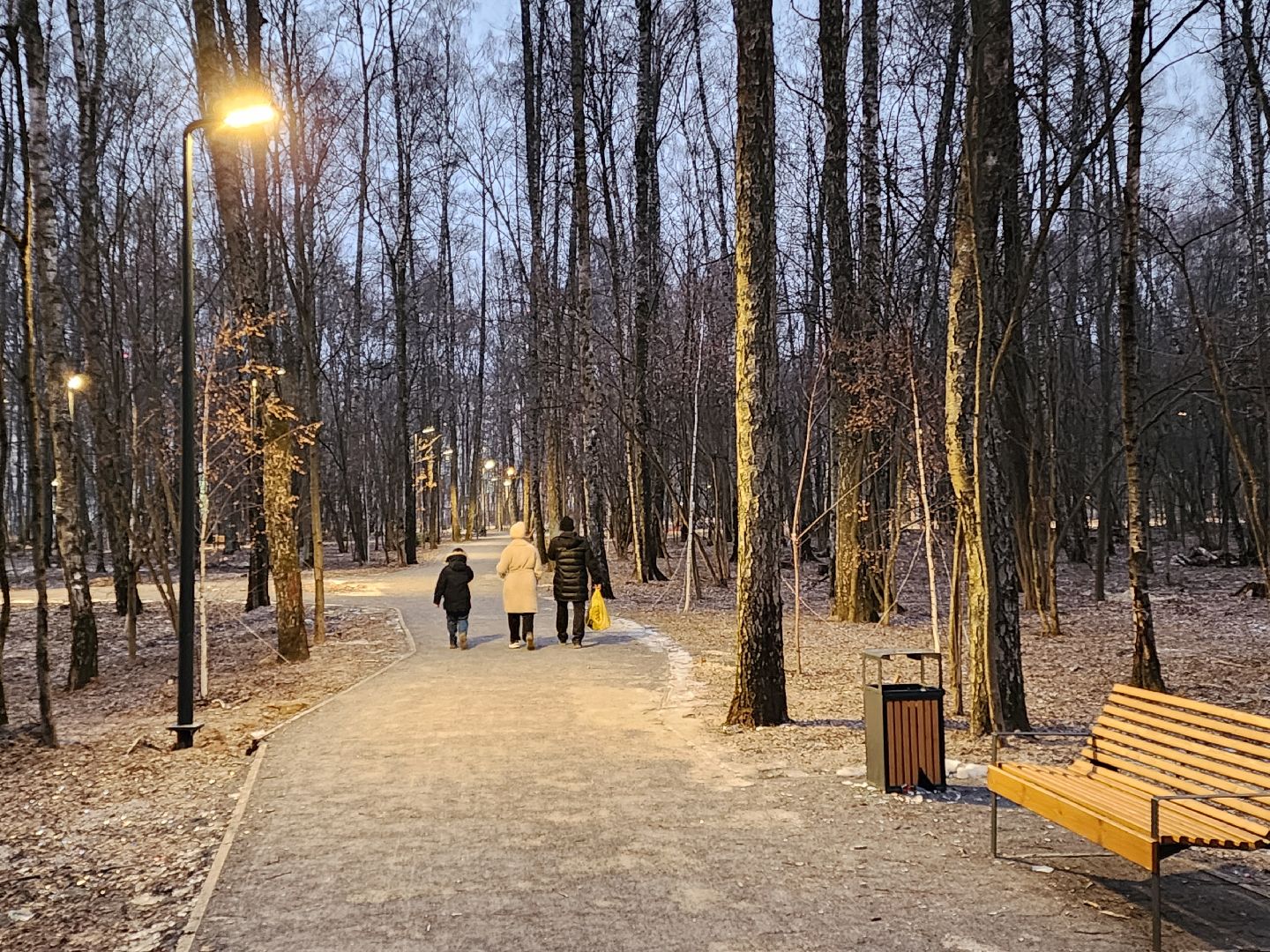 Чехов, микрорайон Губернский, лесопарк, строительство, благоустройство, наружное освещение, уличное освещение, фонари,
