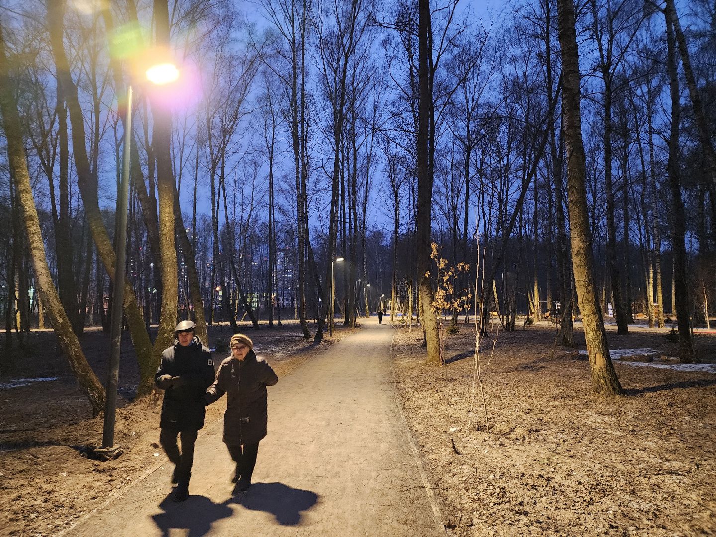 Чехов, микрорайон Губернский, лесопарк, строительство, благоустройство, наружное освещение, уличное освещение, фонари,