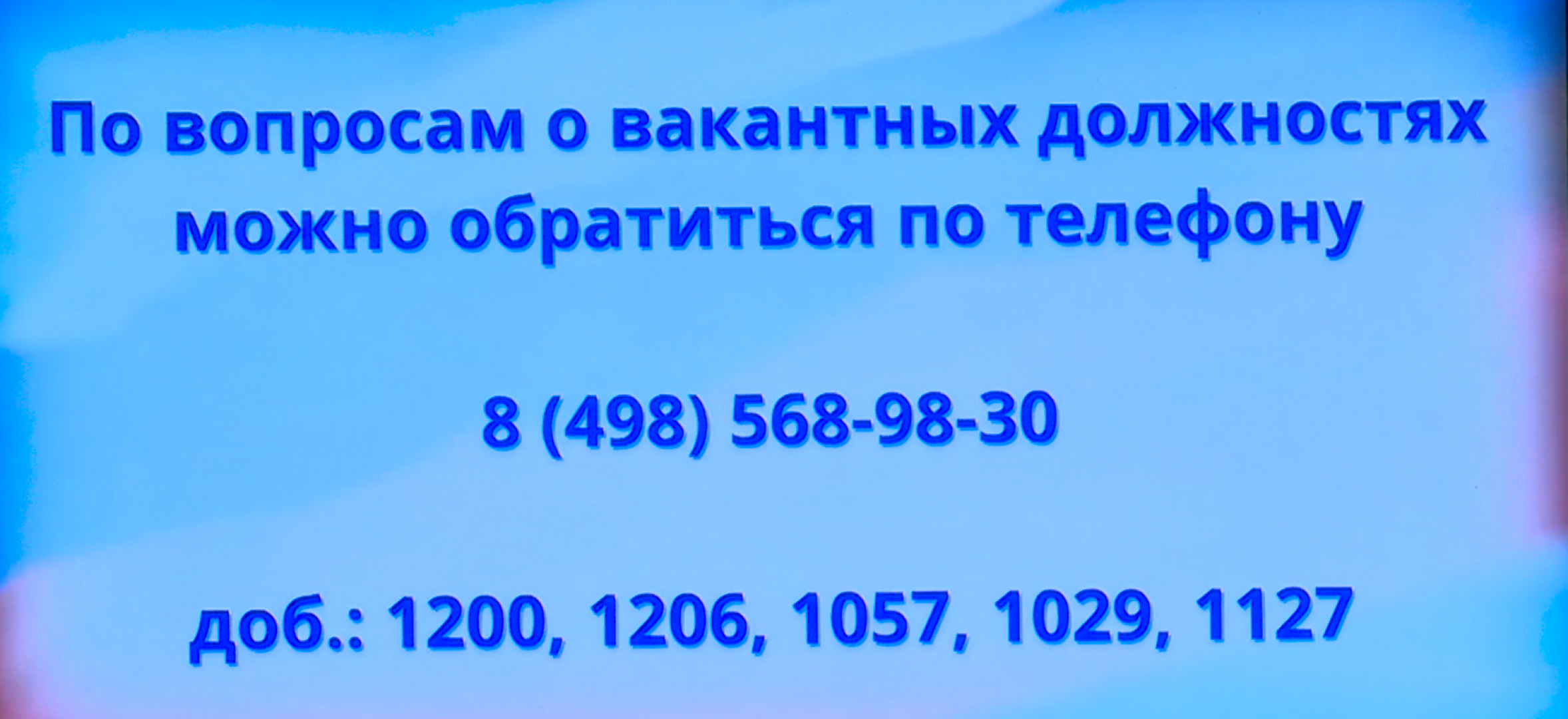 реутов, вертикалки, мфц, услуги, работа всем, поиск работы, трудоустройство,