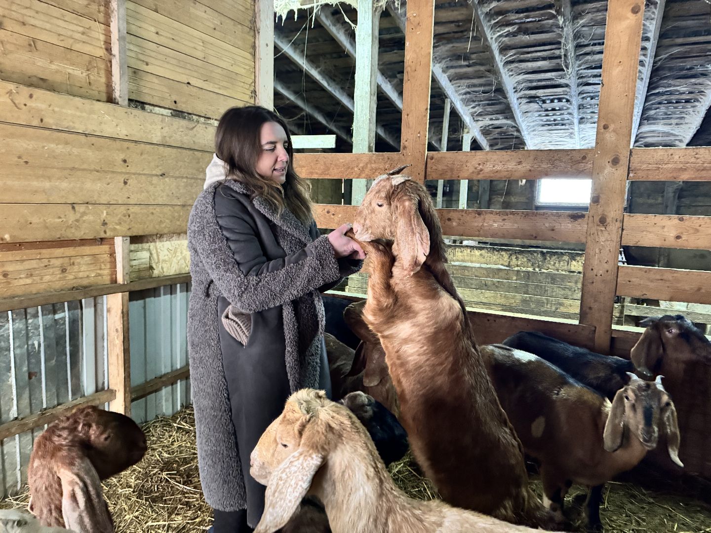 шаховская, фермеры, сельское хозяйство, грант, агростартап, вертикалки,