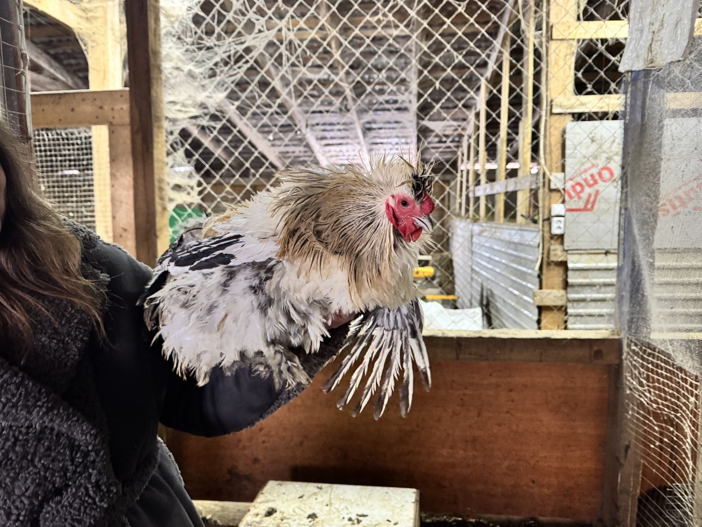 шаховская, фермеры, сельское хозяйство, грант, агростартап, вертикалки,