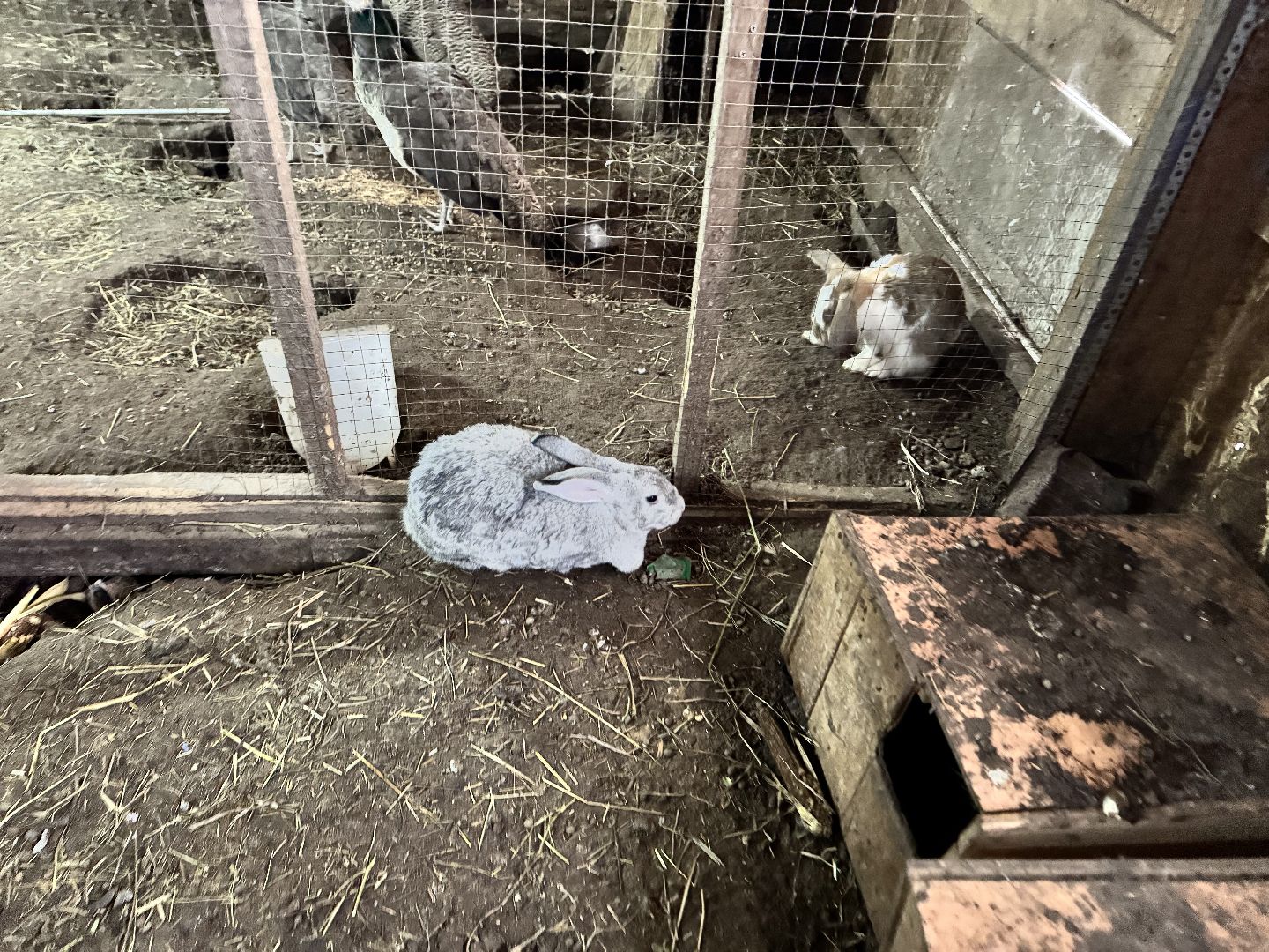 шаховская, фермеры, сельское хозяйство, грант, агростартап, вертикалки,