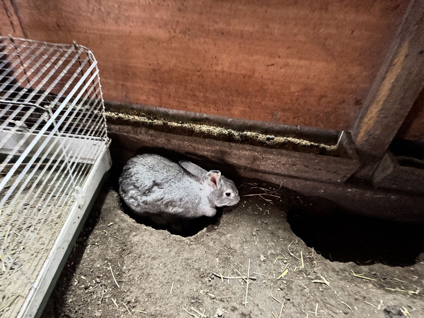 шаховская, фермеры, сельское хозяйство, грант, агростартап, вертикалки,