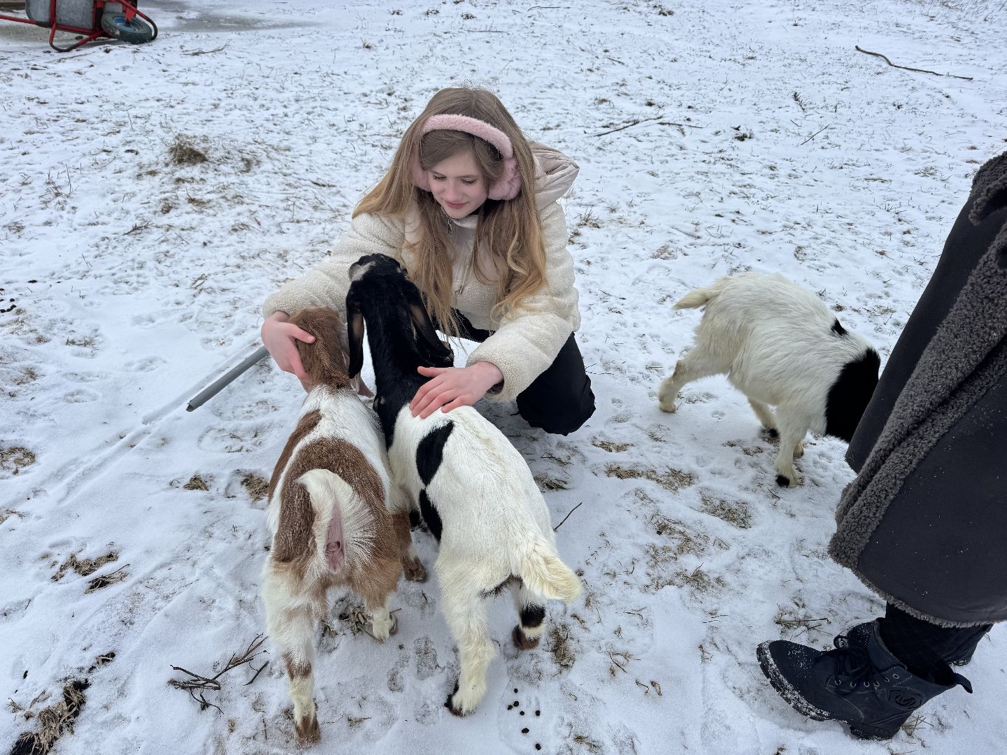 шаховская, фермеры, сельское хозяйство, грант, агростартап, вертикалки,