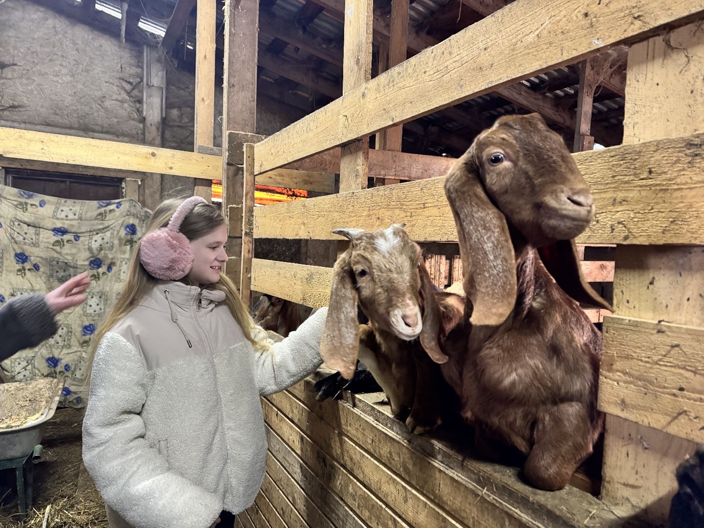 шаховская, фермеры, сельское хозяйство, грант, агростартап, вертикалки,