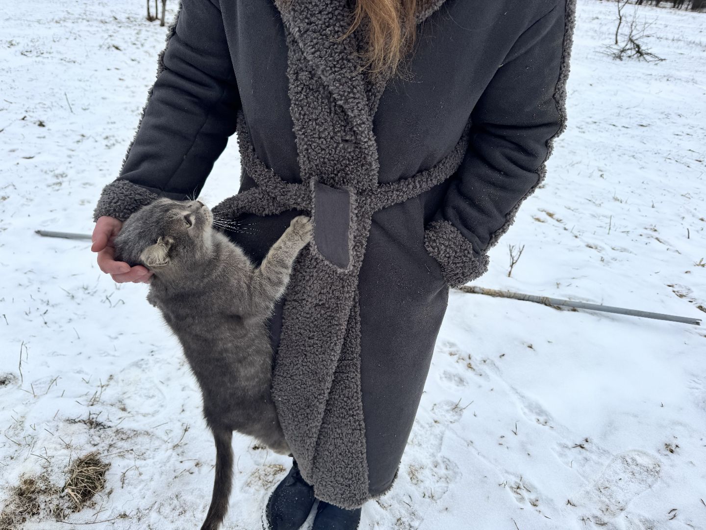 шаховская, фермеры, сельское хозяйство, грант, агростартап, вертикалки,