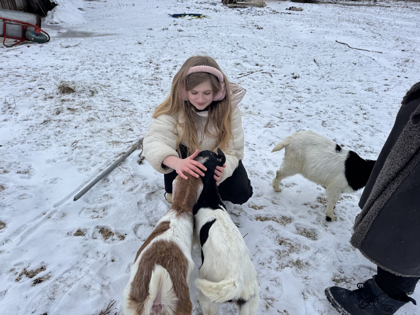 шаховская, фермеры, сельское хозяйство, грант, агростартап, вертикалки,