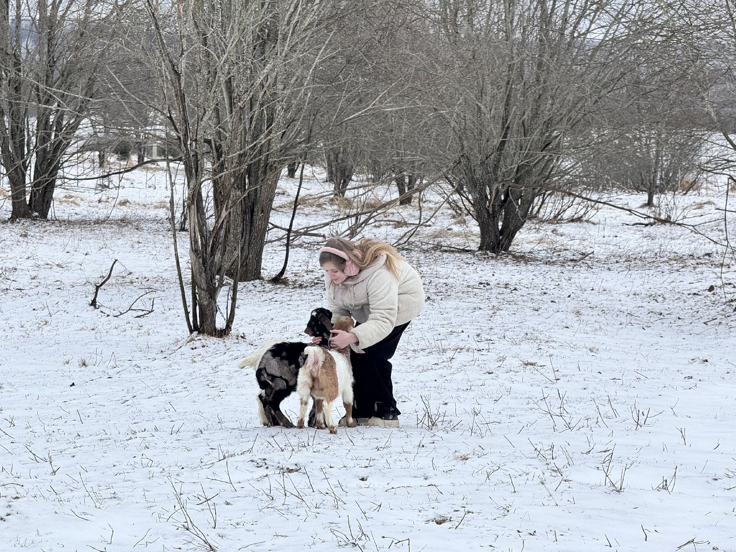 шаховская, фермеры, сельское хозяйство, грант, агростартап, вертикалки,