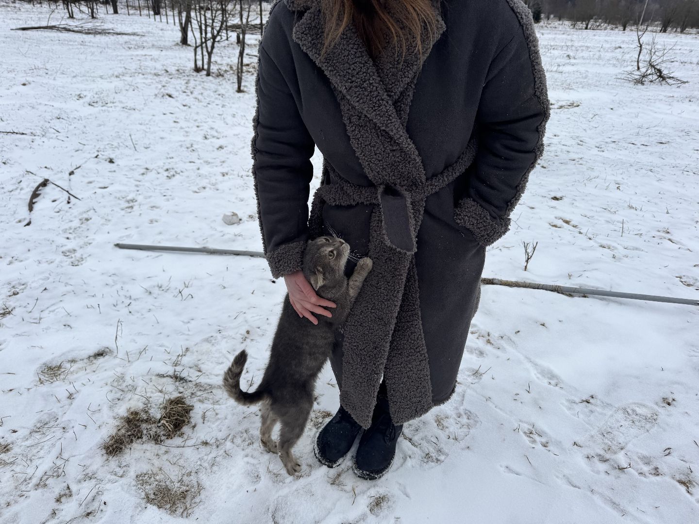 шаховская, фермеры, сельское хозяйство, грант, агростартап, вертикалки,