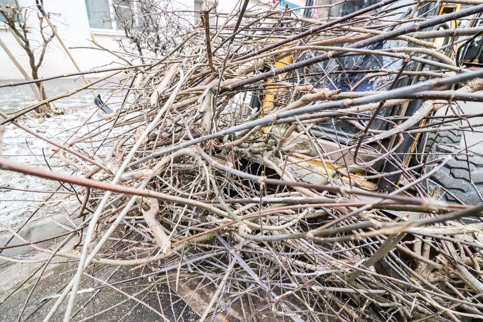 Клин, общество, ЖКХ, уборка веток, вертикалки, уборка смета,