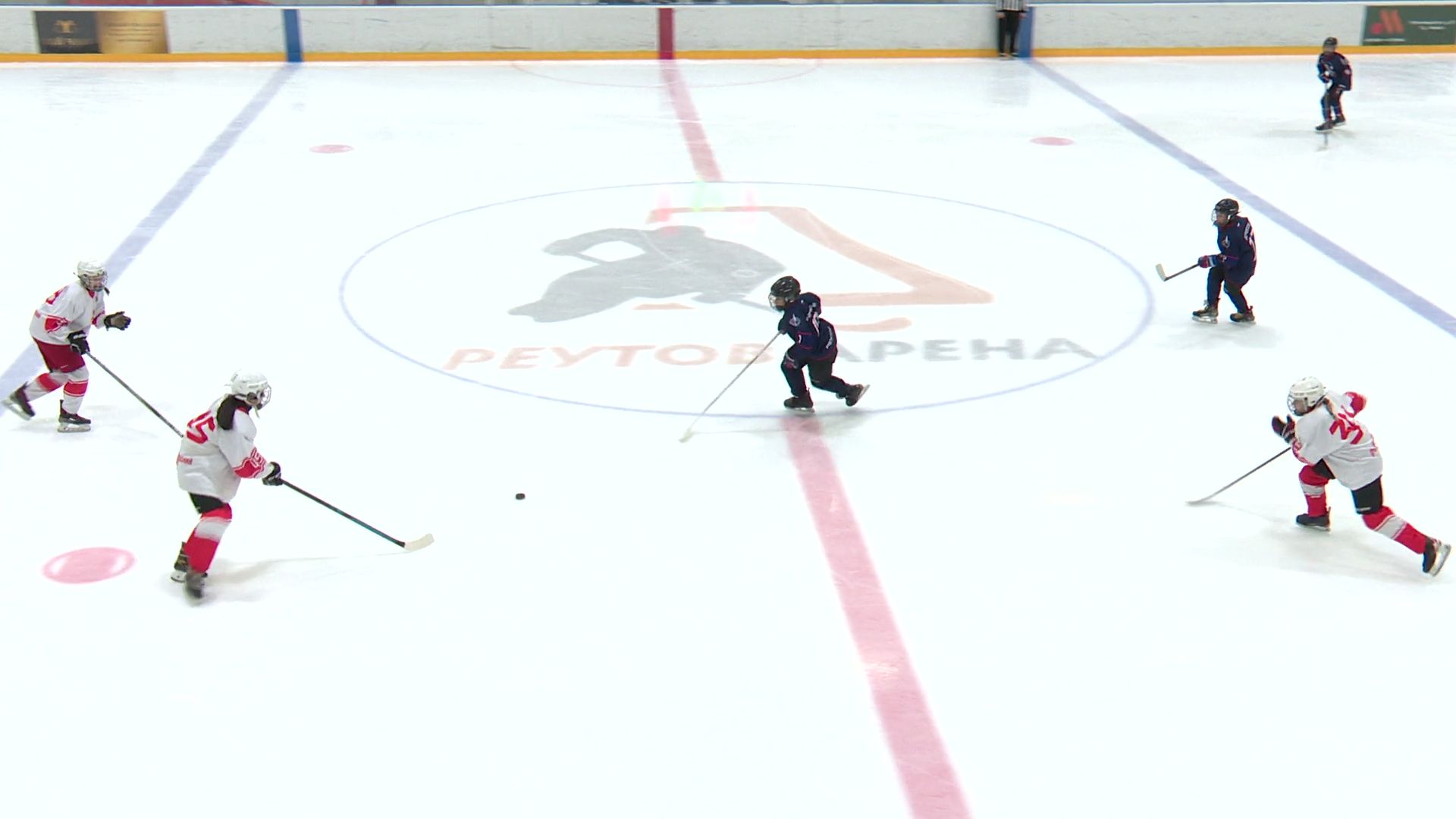 реутов, вертикалки, хоккей, спорт, матч, девочкиvsмальчики,