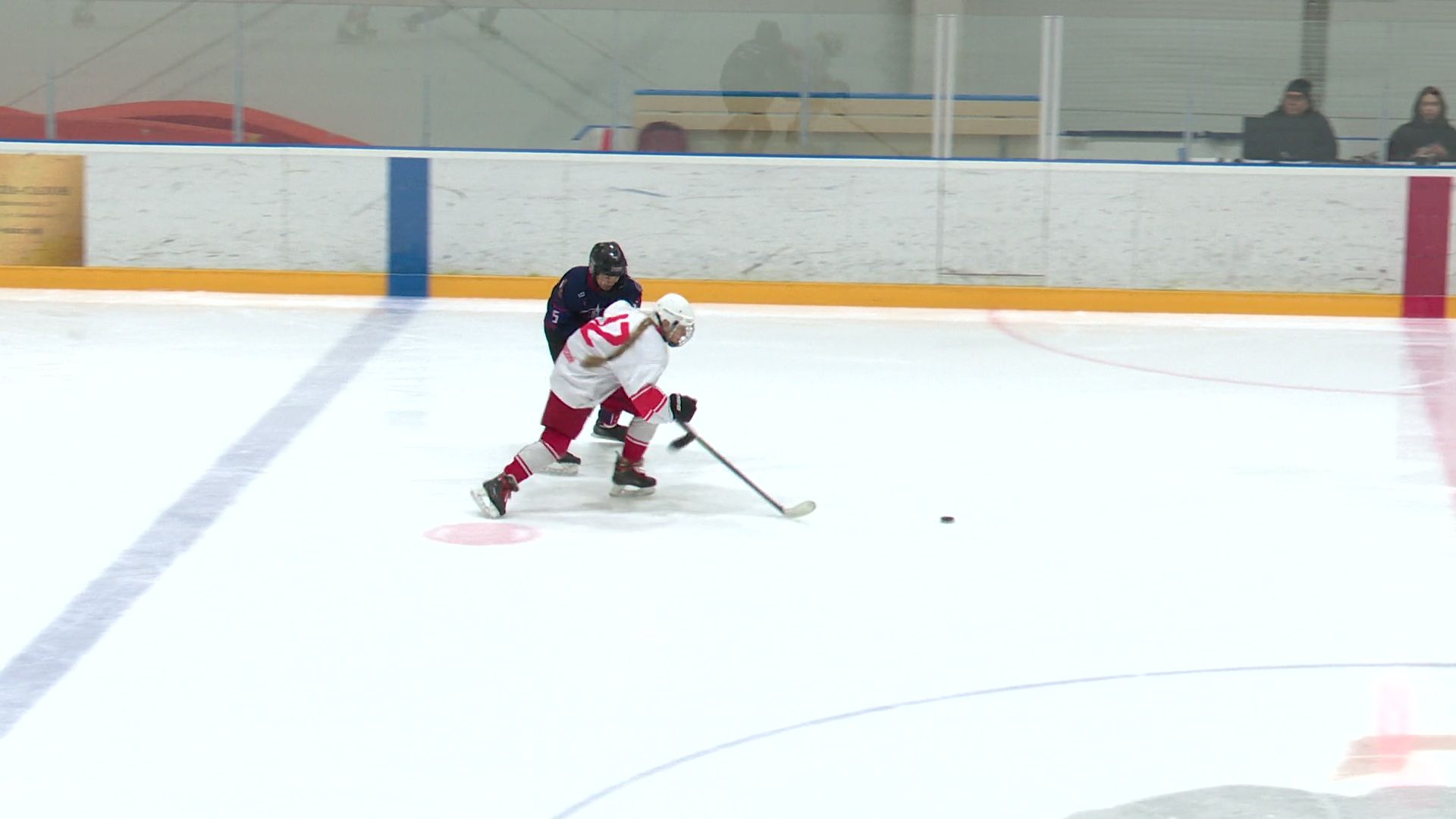 реутов, вертикалки, хоккей, спорт, матч, девочкиvsмальчики,