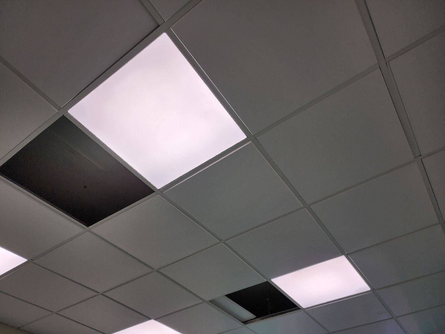 электросталь, медицина, ремонт, детская поликлиника, общество, благоустройство, вертикалки,