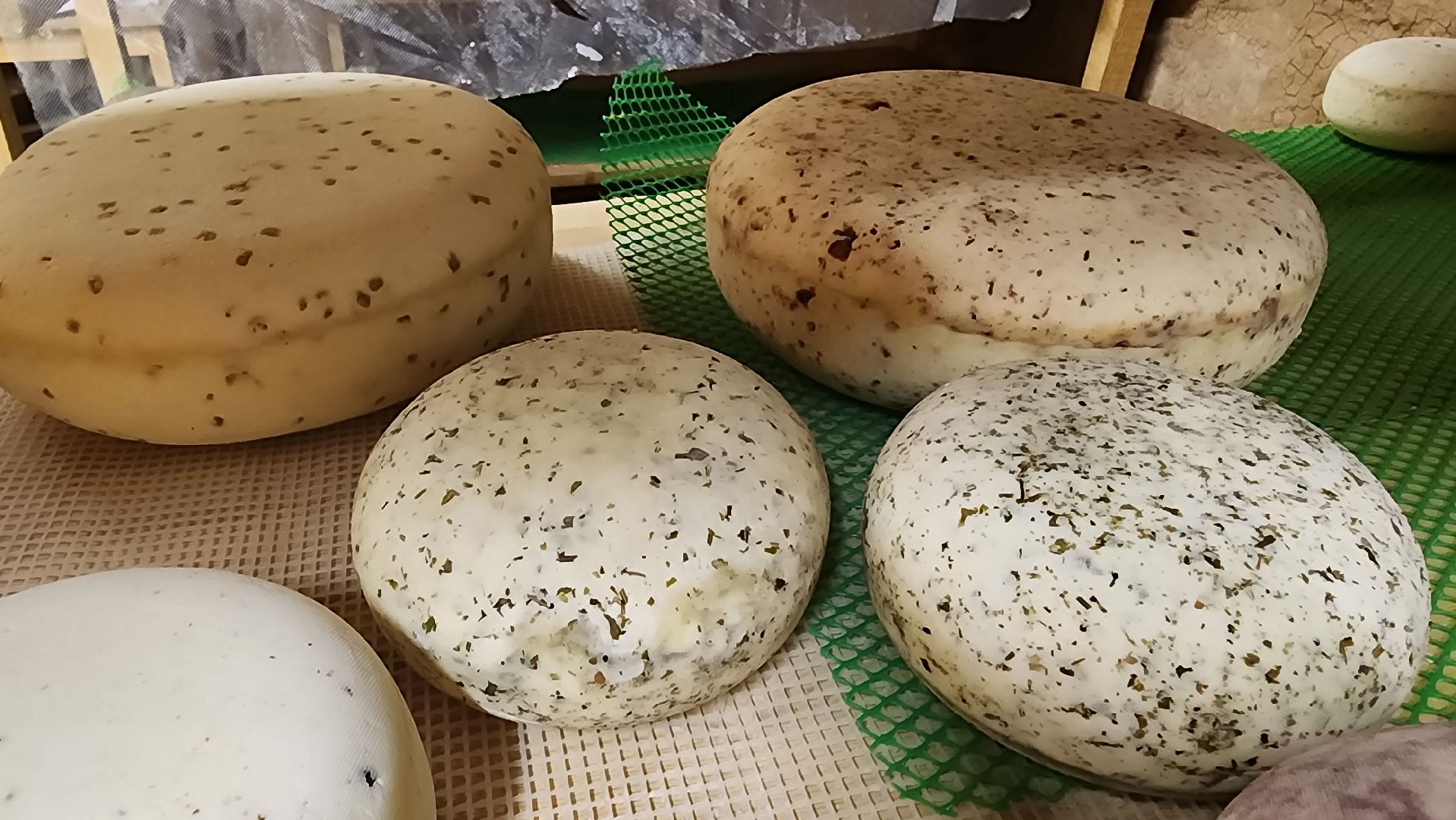 солнечногорск, туризм, деревня мошницы, сыроварня, 33 сыра от джея,