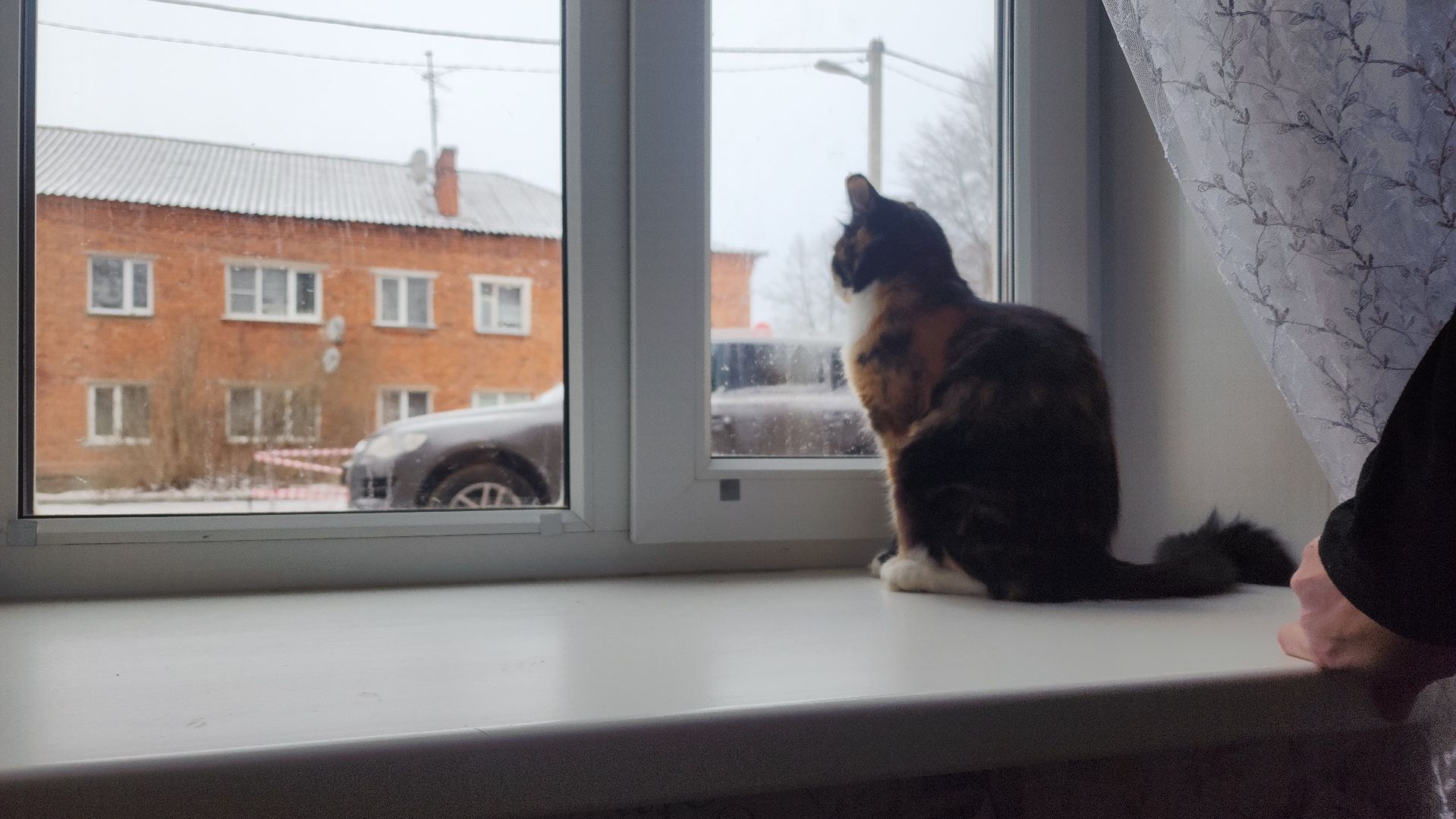 жкх, прорыв трубы, волоколамск, красная гора,